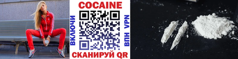 Купить закладки  Сасово  Кокаин FishScale 