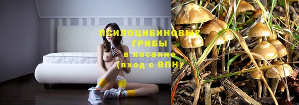 2c-b Горняк