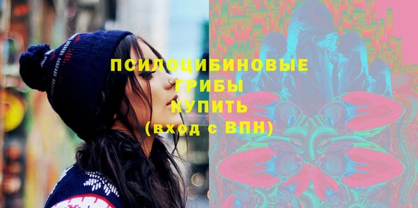 2c-b Горняк