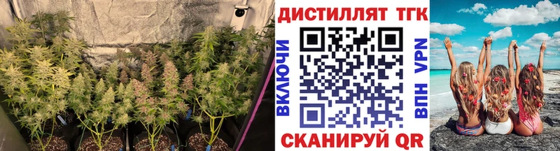 ТГК THC oil  Купить  Сасово 