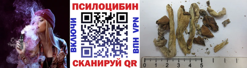 Купить где  Сасово  Галлюциногенные грибы Magic Shrooms 